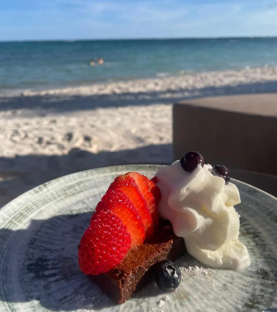 Beach Front Luxury Condo In Tulum Mexico