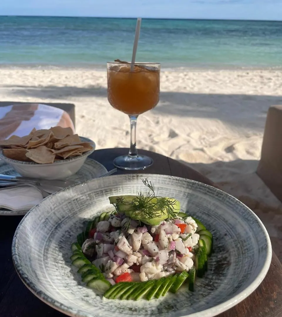 Beach Front Luxury Condo In Tulum Apartment