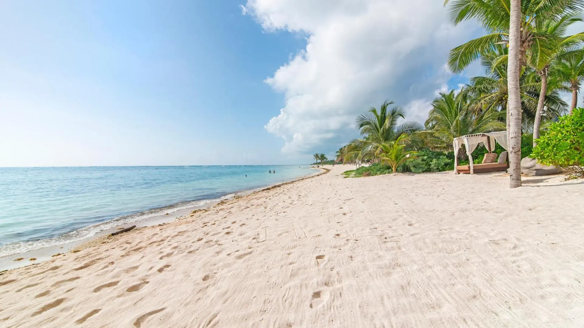 Apartment Beach Front Luxury Condo In Tulum