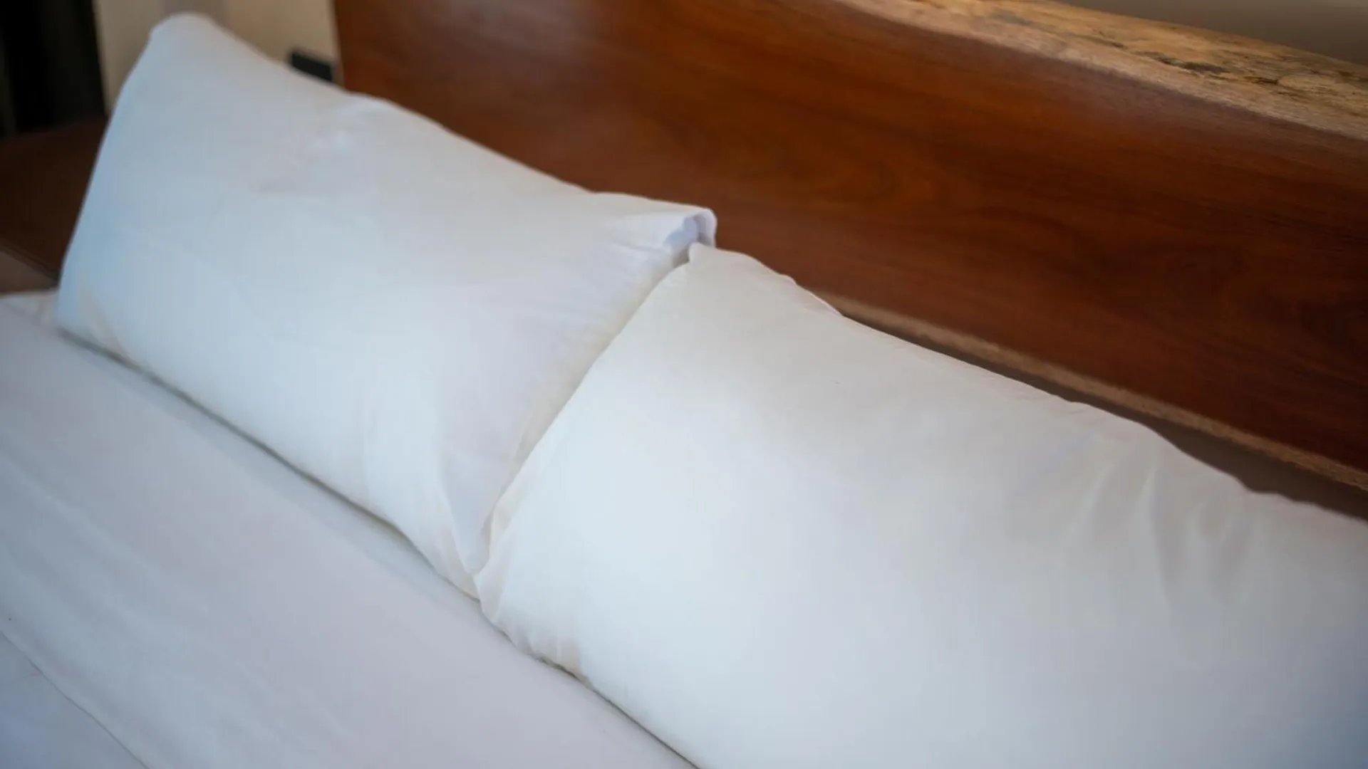 Apartment Beach Front Luxury Condo In Tulum