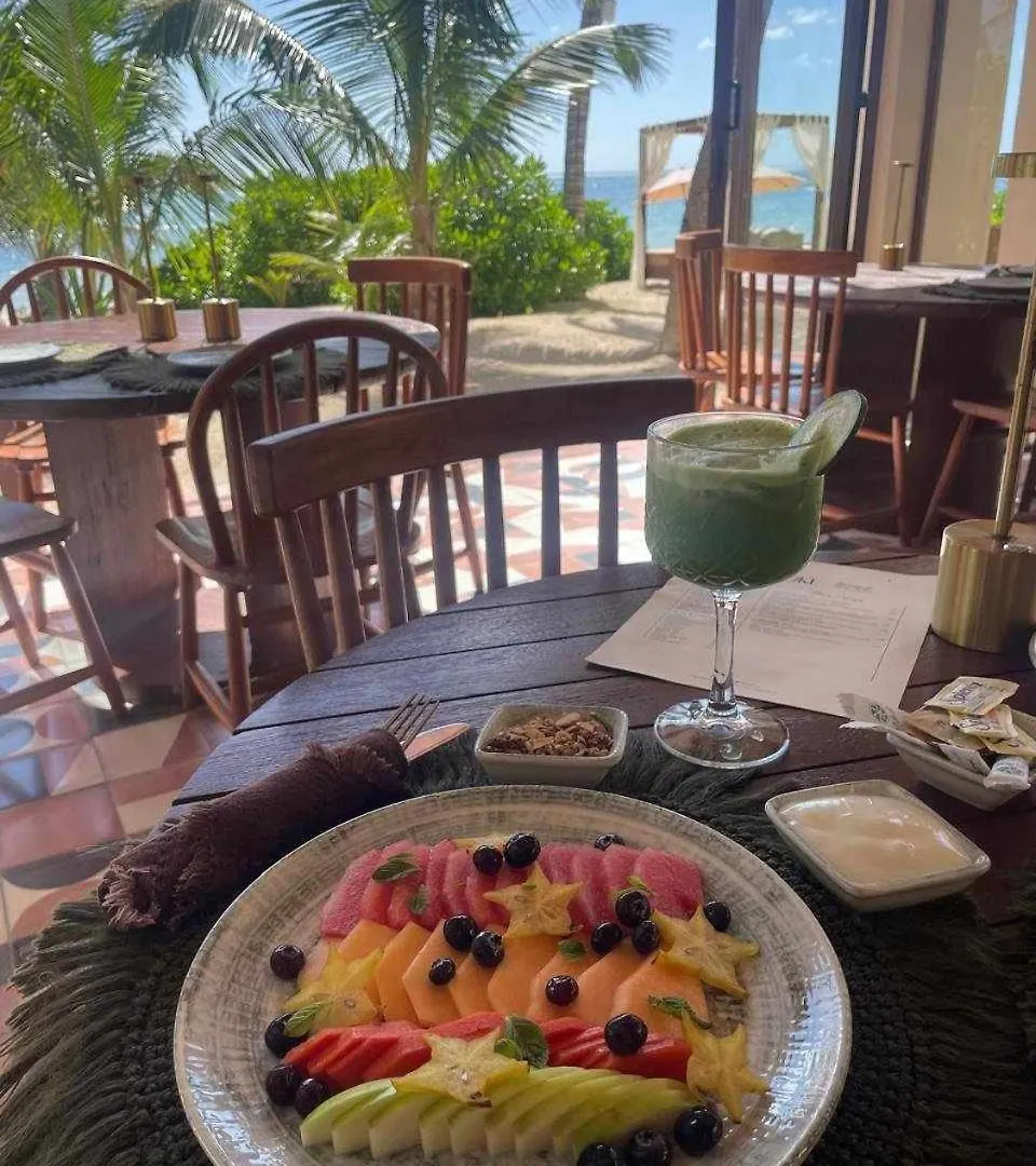 Beach Front Luxury Condo In Tulum Pueblo Appartement