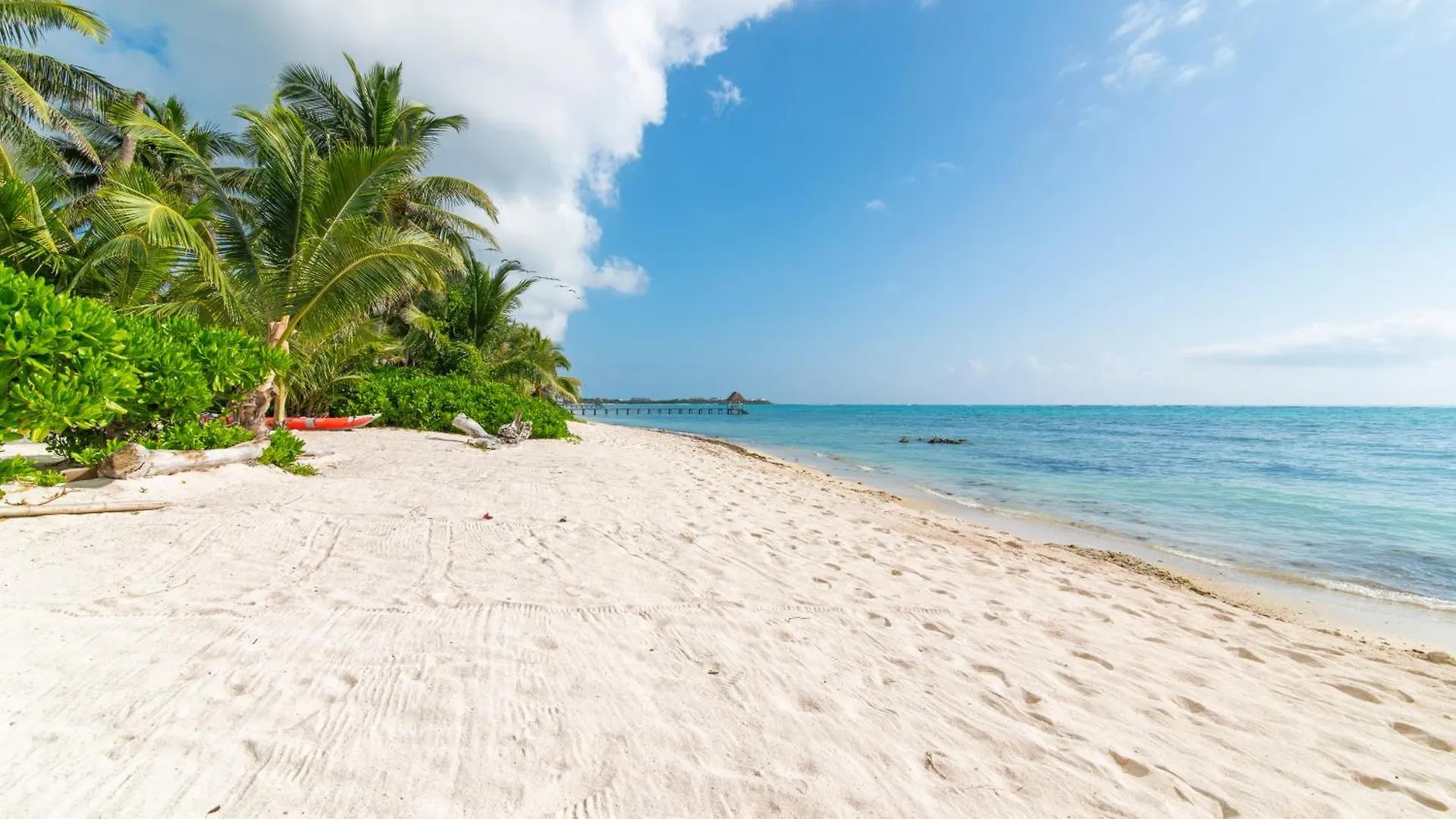 Beach Front Luxury Condo In Tulum Pueblo Mexico